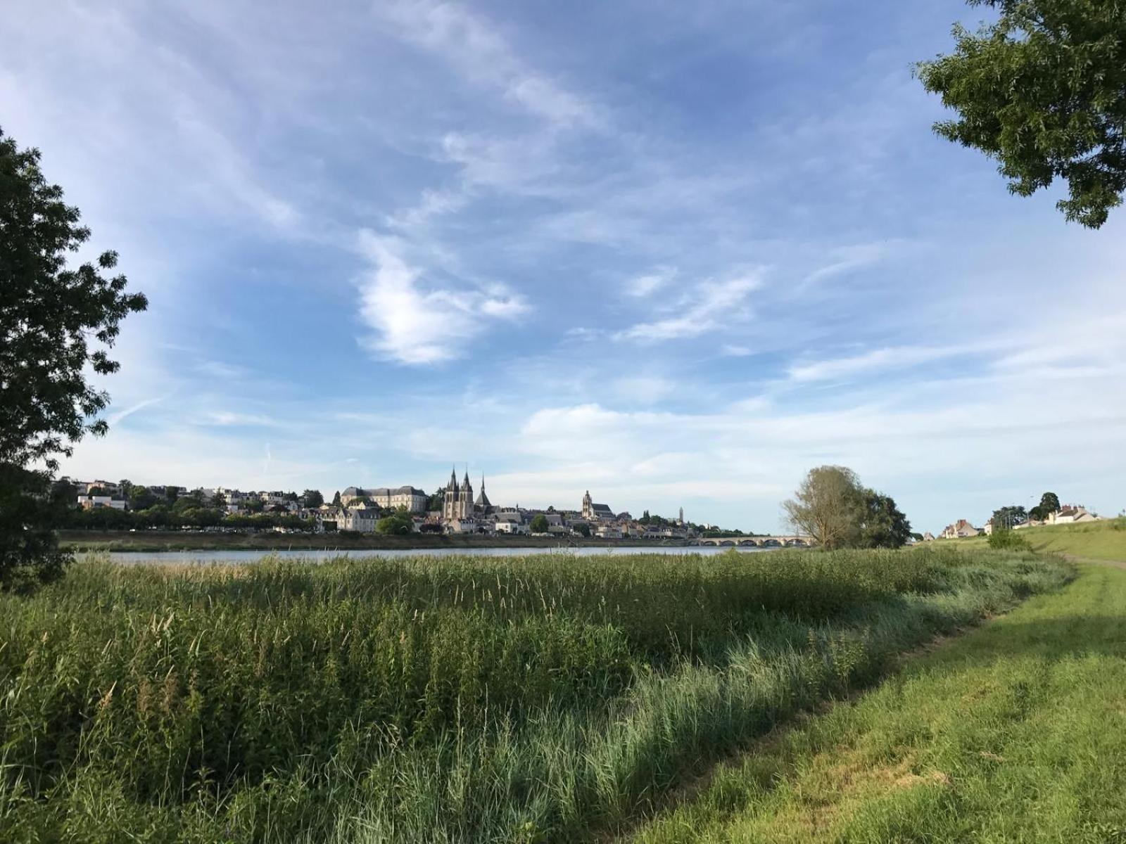 Апартаменты Quai De La Loire Блуа Экстерьер фото