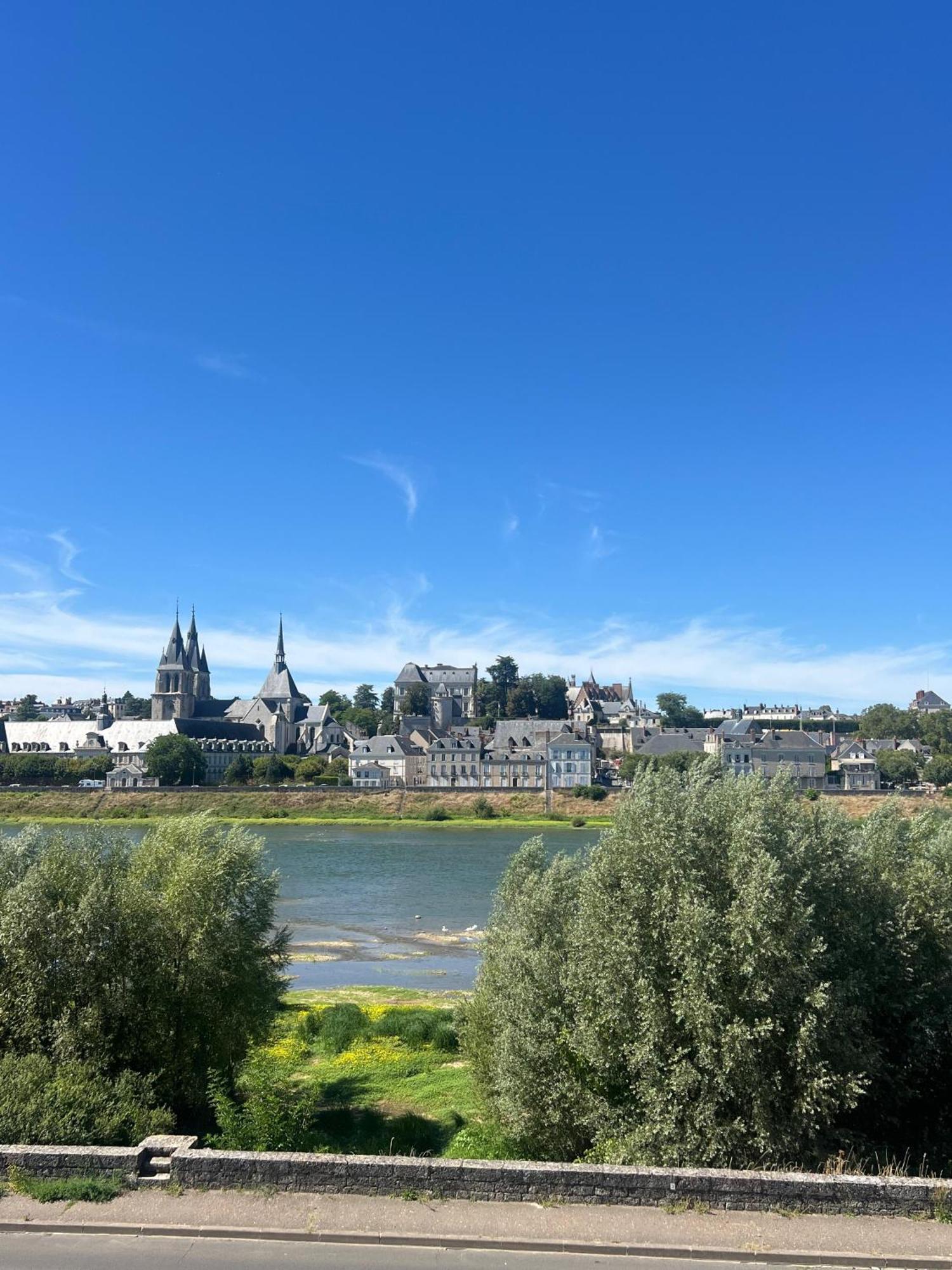 Апартаменты Quai De La Loire Блуа Экстерьер фото