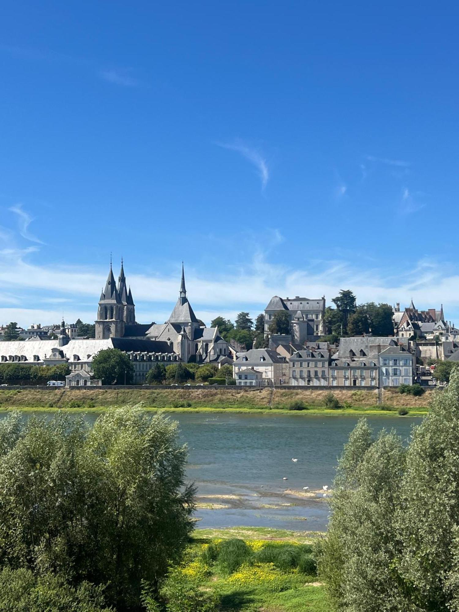 Апартаменты Quai De La Loire Блуа Экстерьер фото